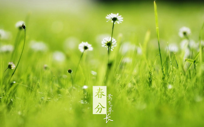 即便是春風十裏，依然不如你